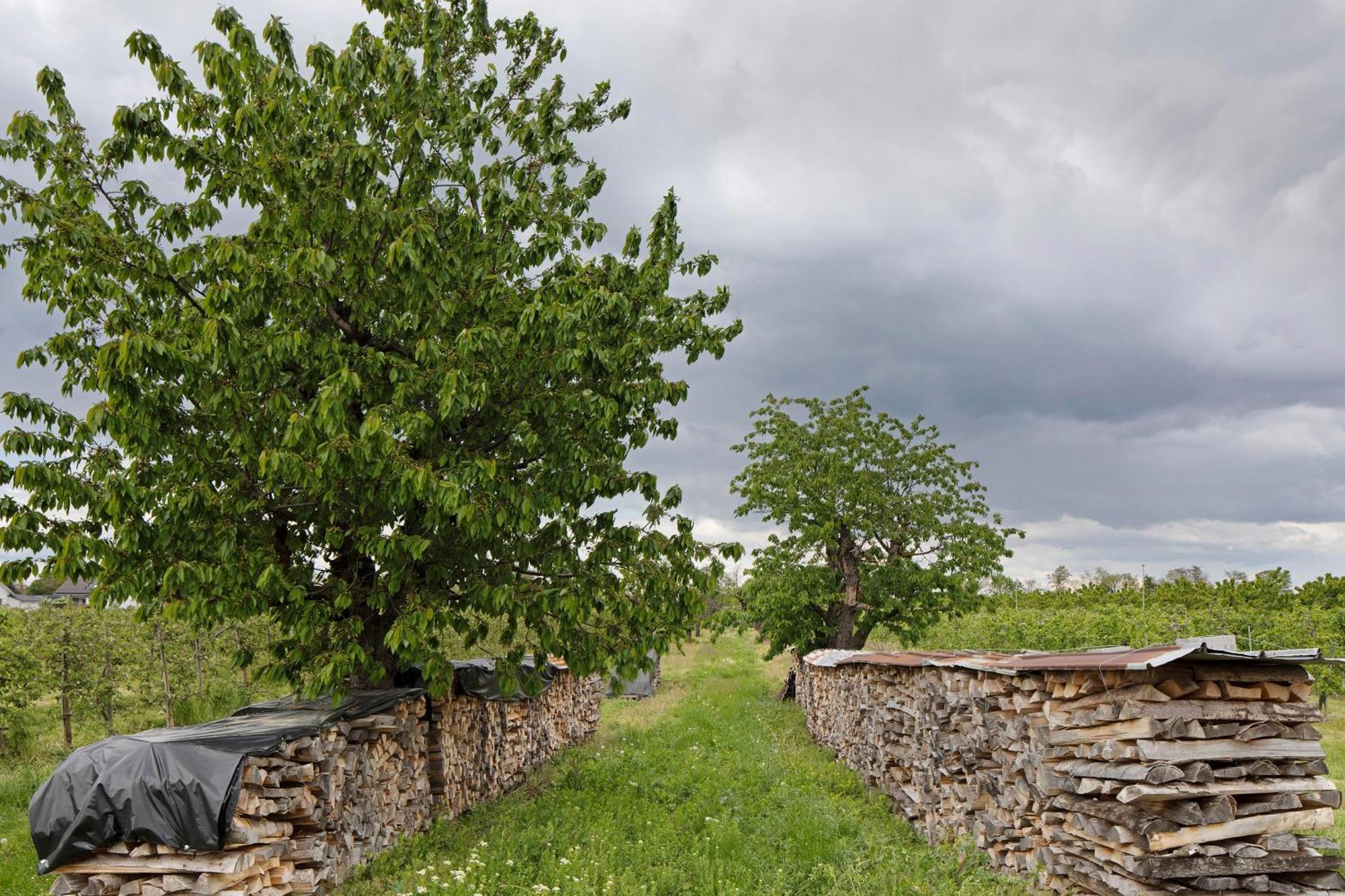 Ferienhof Schloessle Sasbach am Kaiserstuhl Εξωτερικό φωτογραφία