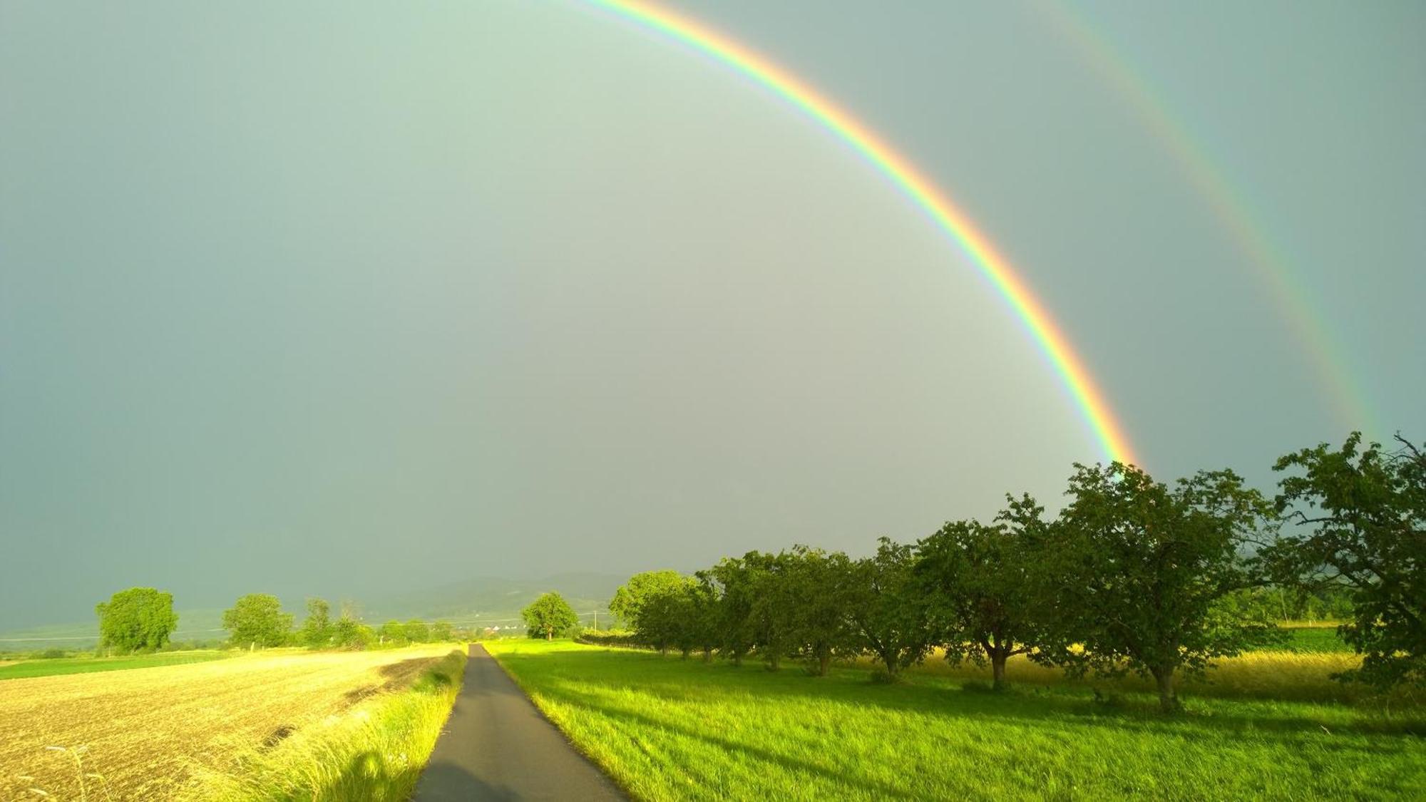 Ferienhof Schloessle Sasbach am Kaiserstuhl Εξωτερικό φωτογραφία