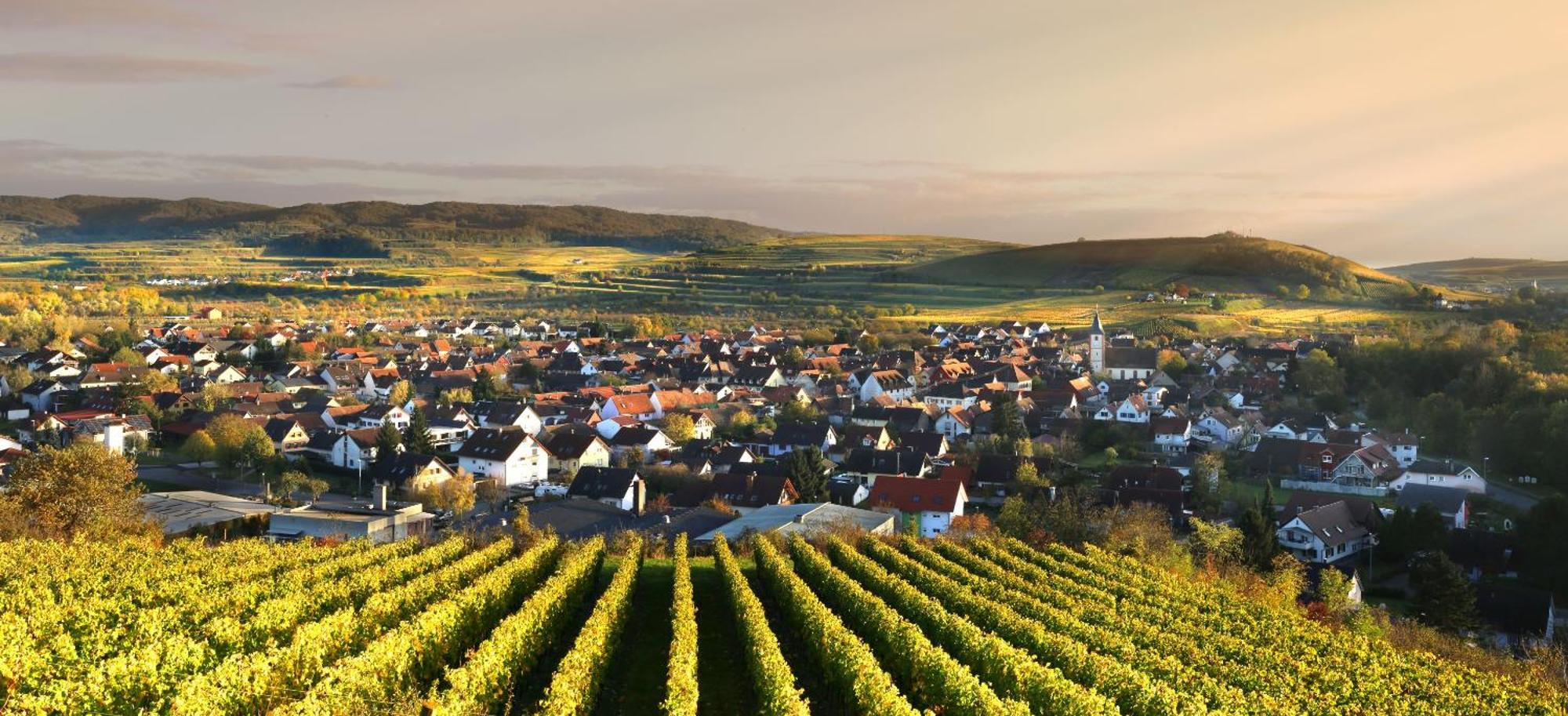 Ferienhof Schloessle Sasbach am Kaiserstuhl Εξωτερικό φωτογραφία