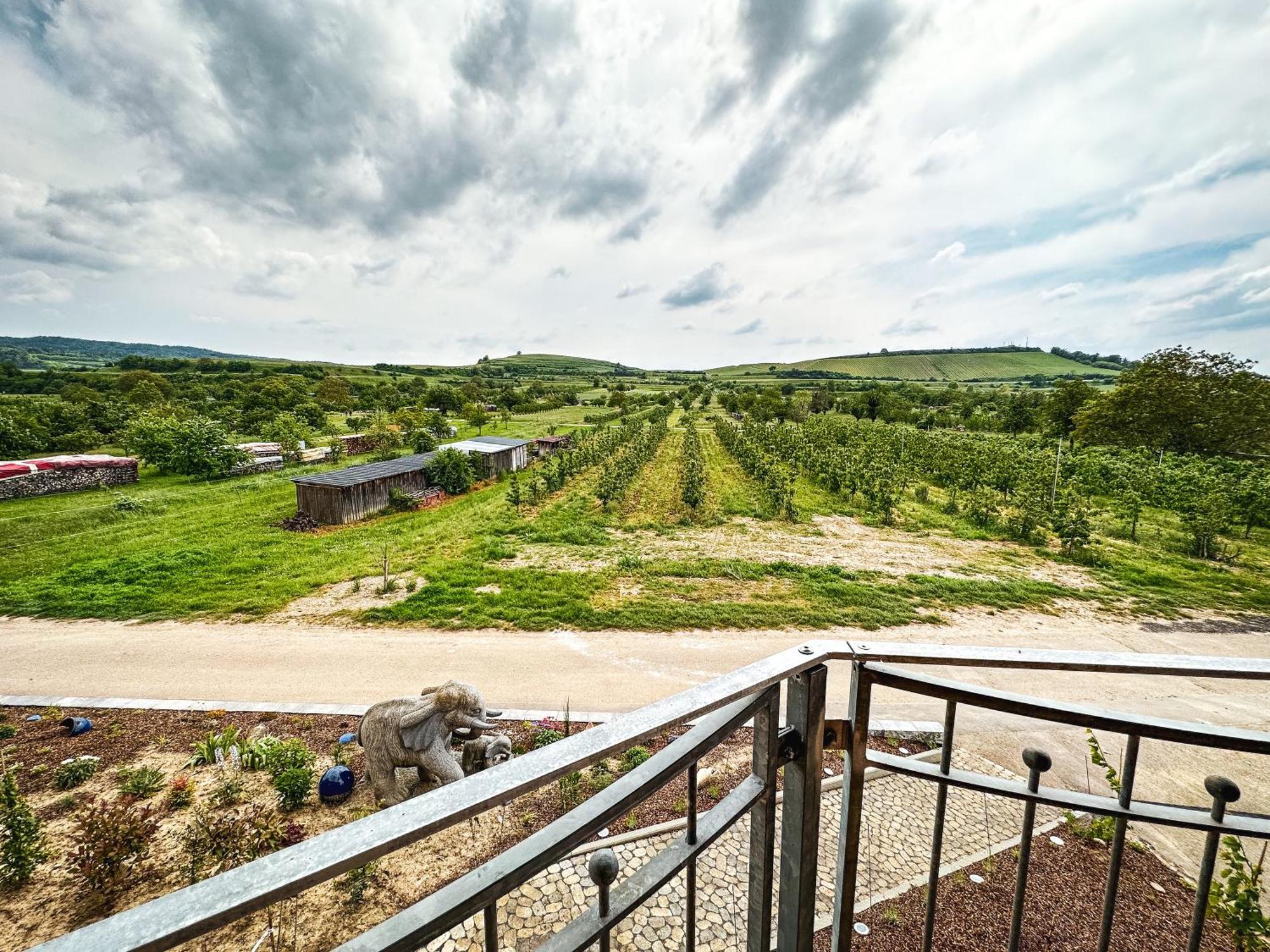 Ferienhof Schloessle Sasbach am Kaiserstuhl Εξωτερικό φωτογραφία